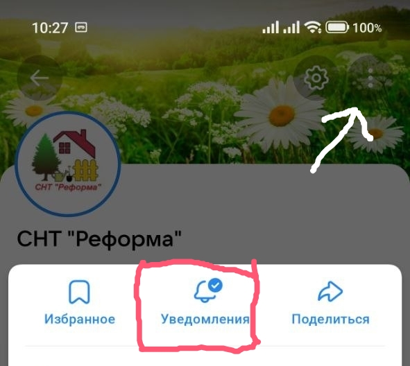 Фото к новости