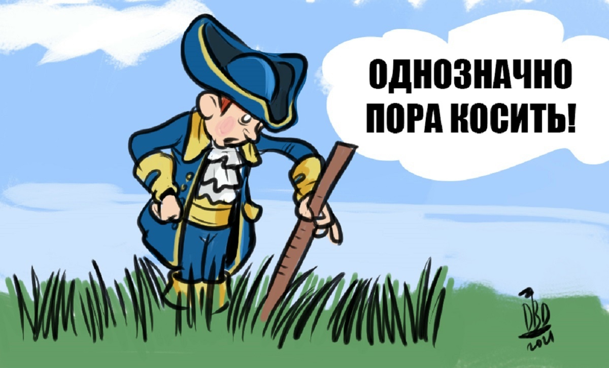 Фото к новости