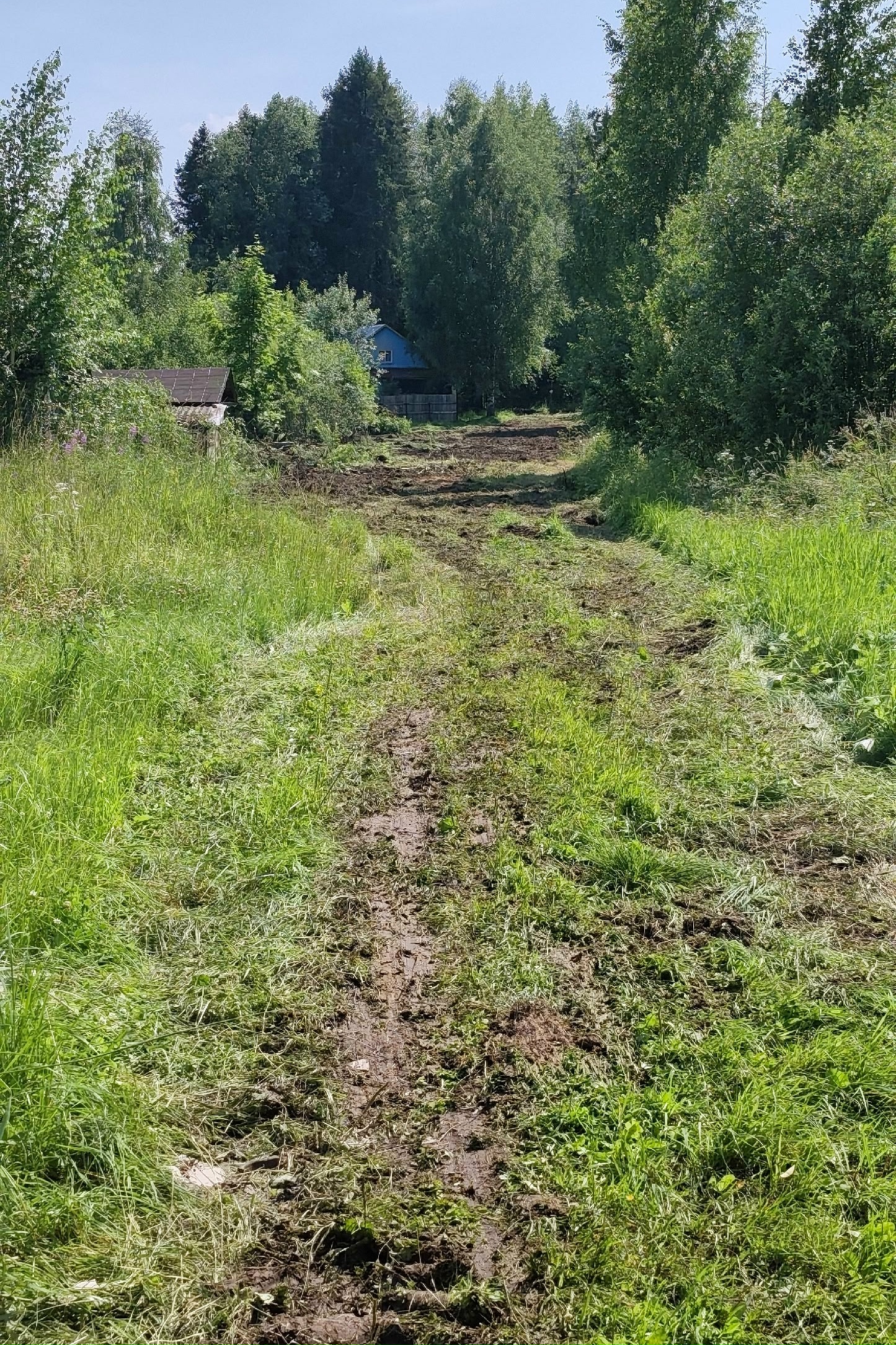 Фото к новости